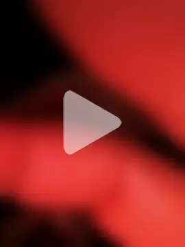 rajstrip12650 photo 2