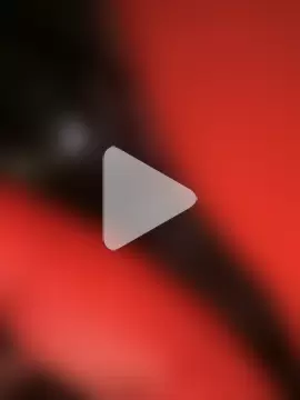 rajstrip12650 photo 2