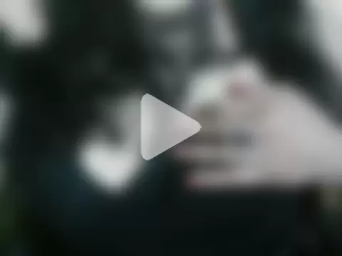 rehana_housewife photo 11