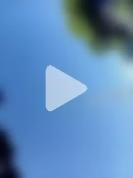 robinhd1234 photo 13