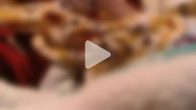 rockhead1971 photo 4