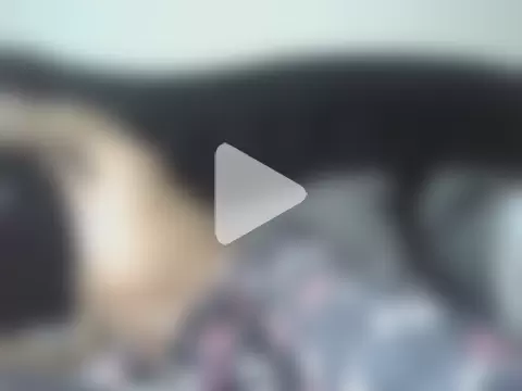 rockjohnson31 photo 23