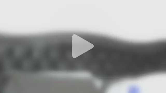 rockjohnson31 photo 7