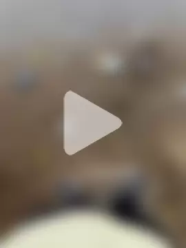 rockythebadboii photo 21