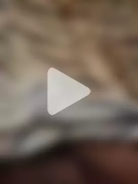 ronnypaquera photo 5