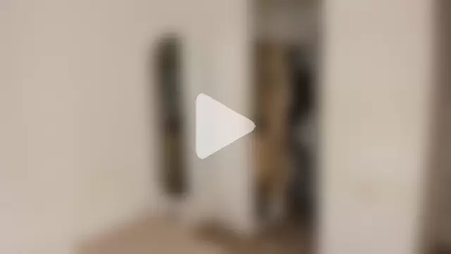 rose_scottt photo 19