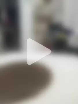 sagrado_1989 photo 11