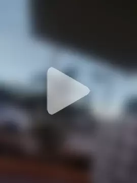 sagrado_1989 photo 10