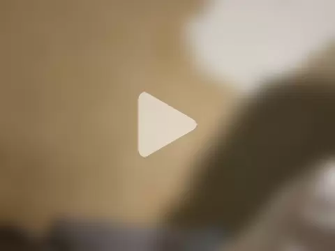 saint_cat25 photo 23