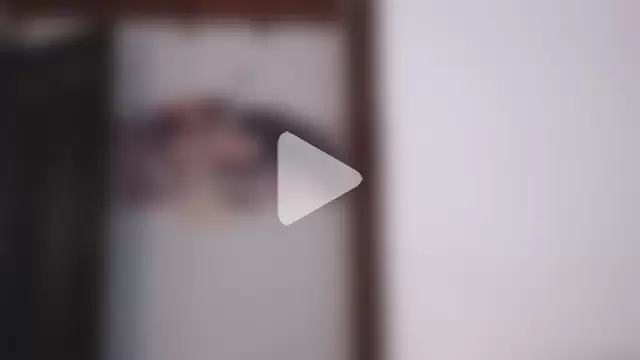 salvatore_amator photo 1