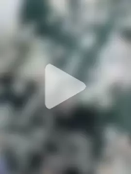 samitasharma photo 9