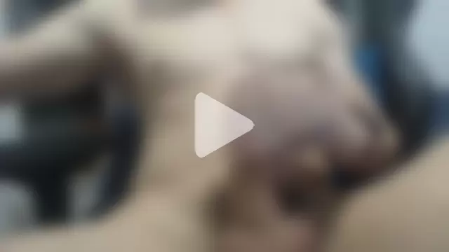 samuelgarcia_ photo 15