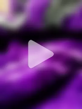 saneer69tew photo 10