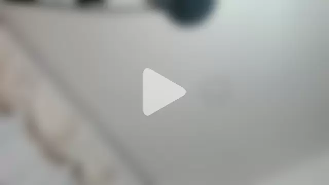 sarita_loven photo 1