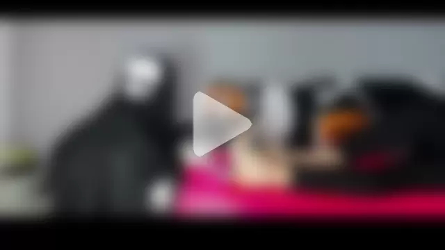 sasha-star11 photo 8