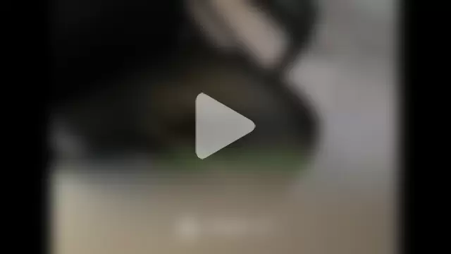 scorvierge@xh photo 7