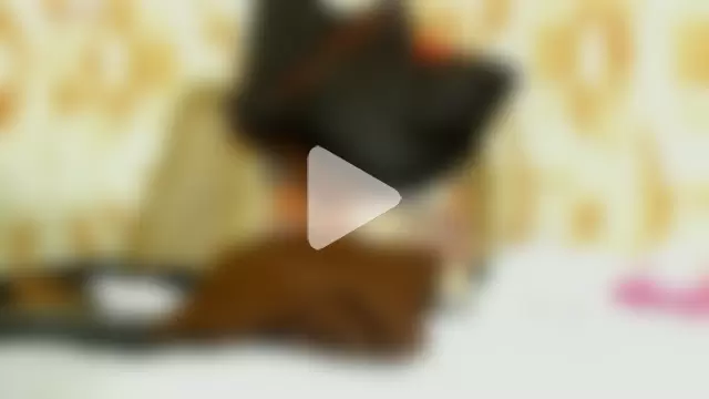 servientessex photo 6