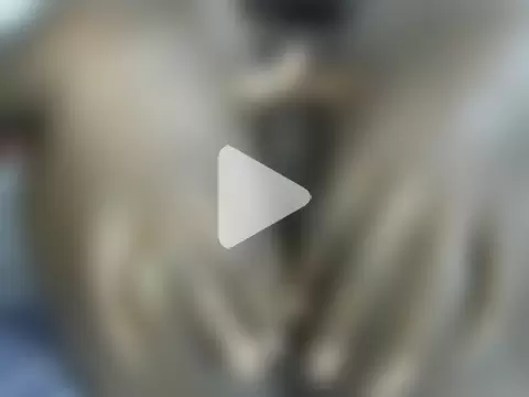 sexxyladylike photo 18
