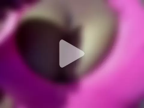 sexyamanda_ photo 26