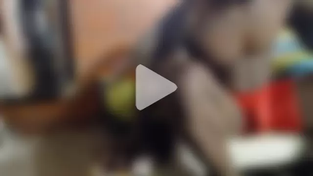 sexyblackxx12 photo 3