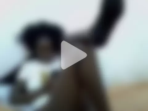sexyeve1 photo 26