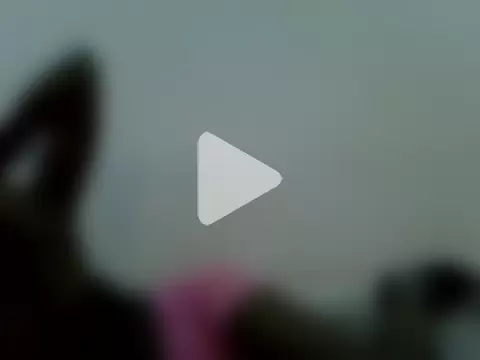 sexyeve1 photo 19