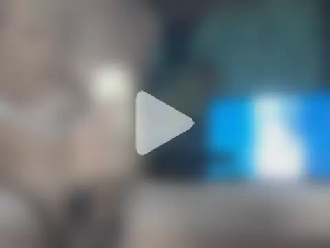 shikokichi55 photo 14