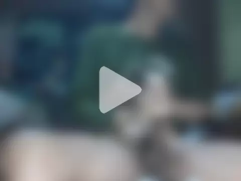 shikokichi55 photo 11