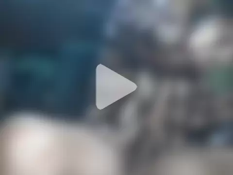 shikokichi55 photo 19