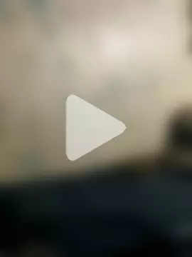 shufflercat photo 18