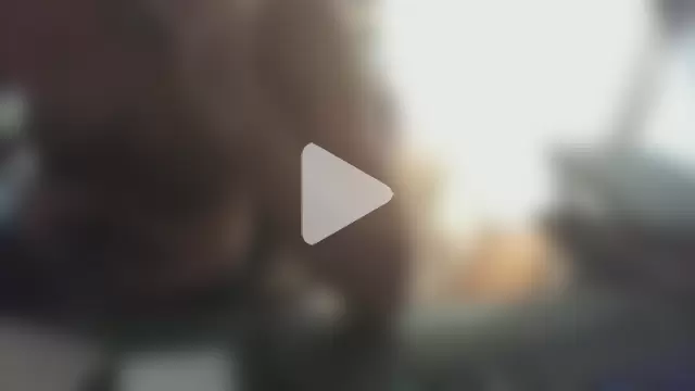 shyfrenchcock1 photo 19