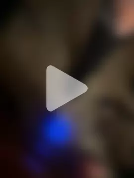 silverbay-456 photo 23