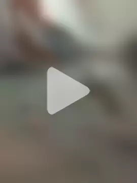 silverbay-456 photo 22