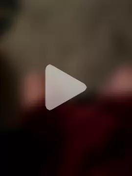 silverbay-456 photo 14