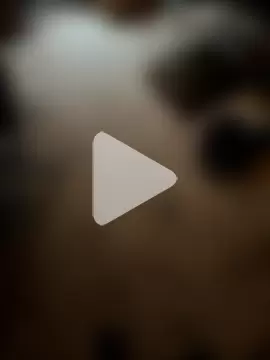 silverbay-456 photo 9