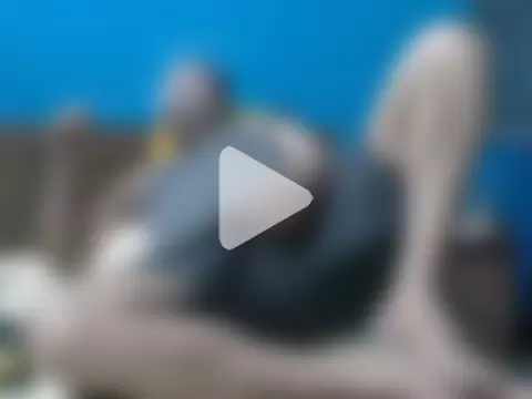 simpleboldman2026 photo 2