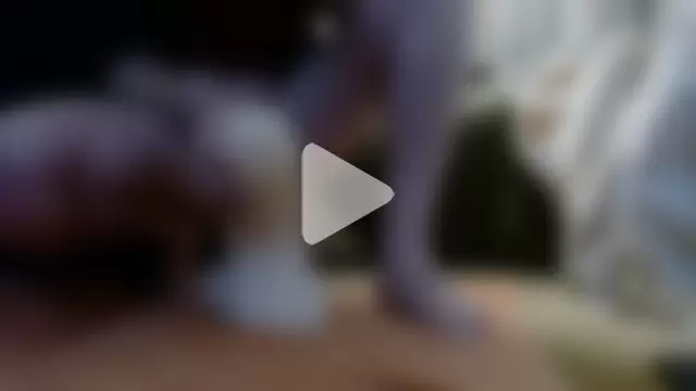 simplesolution photo 4