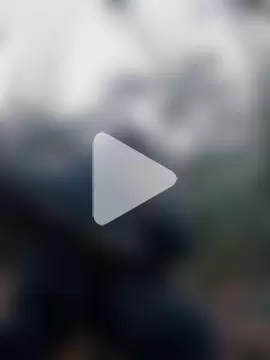 sinful_silvio photo 17