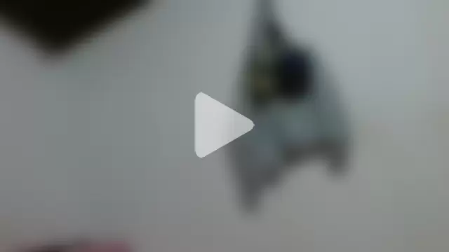 sk8-sir photo 16
