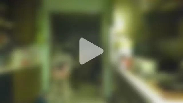 slinginbigD photo 23