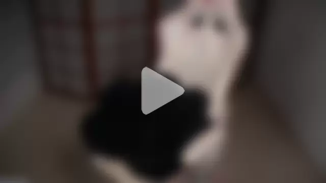 small_emilie photo 4