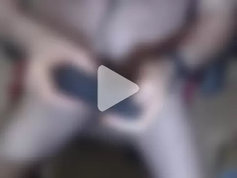 sohorneydad13 photo 2