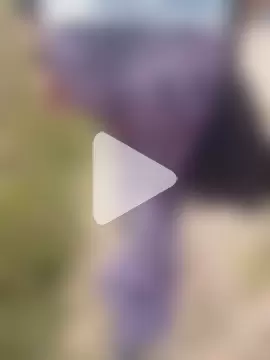 sophie_banger photo 10