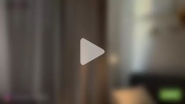 spring_forest photo 16