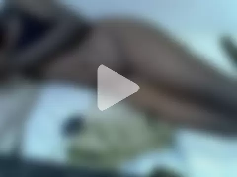 springly_love photo 8