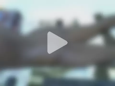 springly_love photo 7