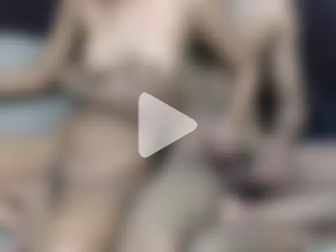 ssasy-look01 photo 9