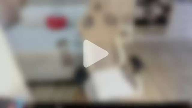 stefializon photo 17