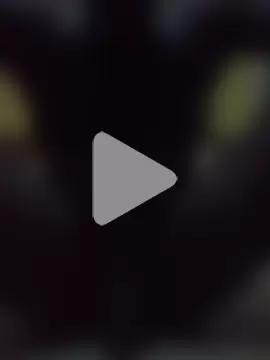 steptoluv photo 1