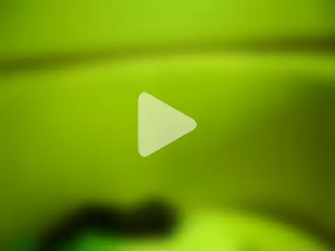 steven_mar43684 photo 7